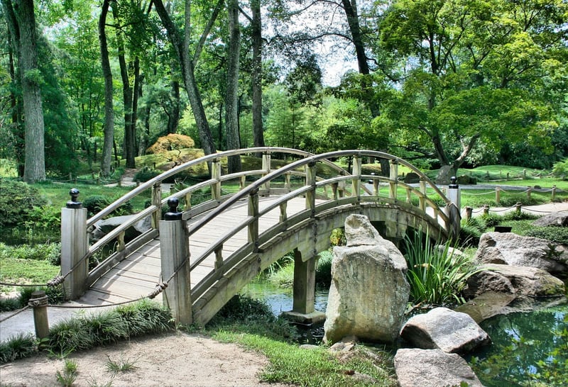 Otherworldly Garden Paths