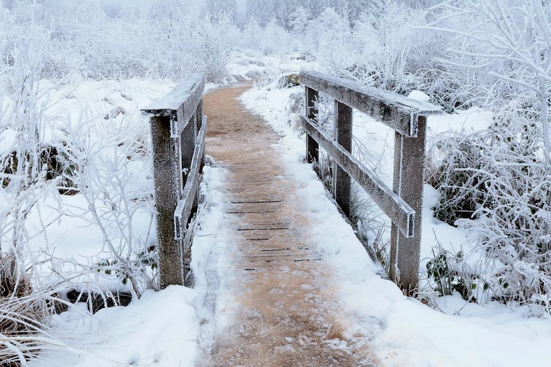 Secret Garden Pathway